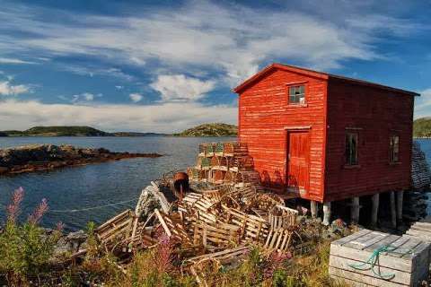 Newfoundland Photography